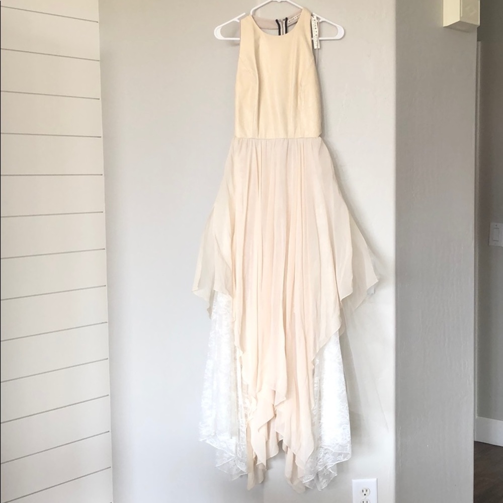 Alice + Olivia dress